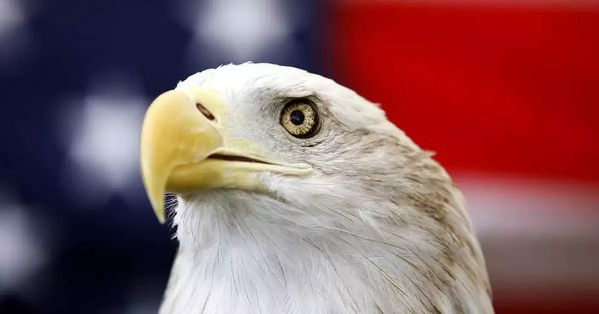 Biden signs a bill officially making the bald eagle the national bird of the US