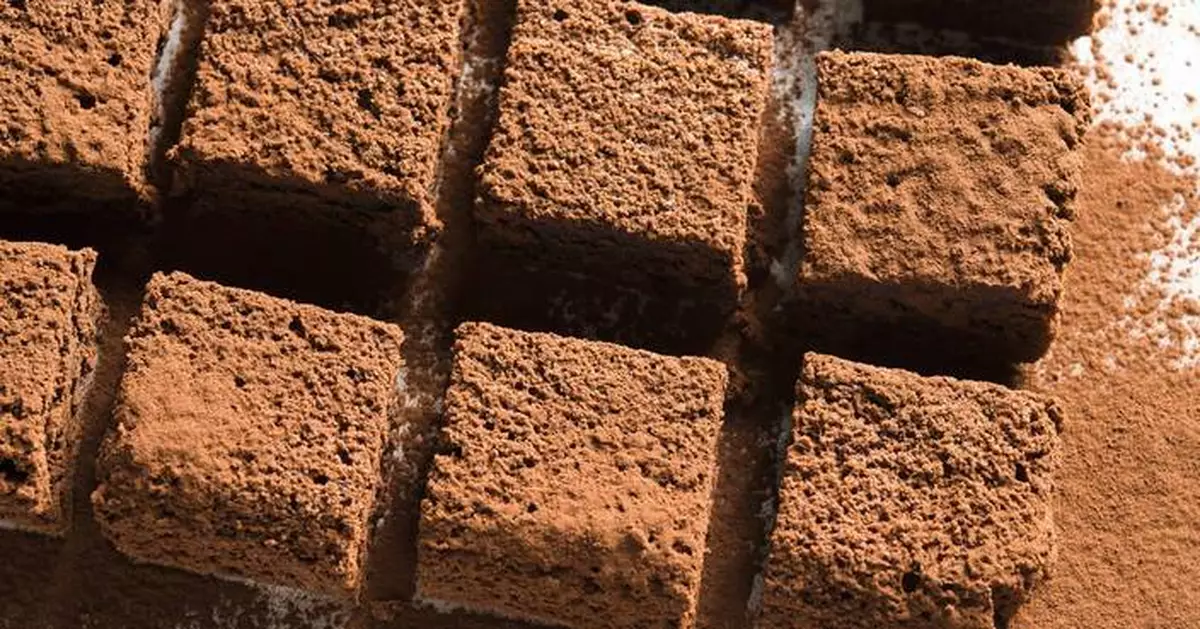 This Italian flourless chocolate torta is rich and dense yet remarkably light