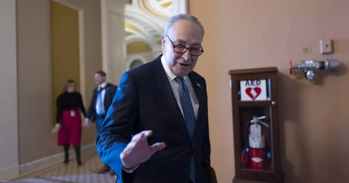 Democrats stick with Schumer as leader. Their strategy for countering Trump is far less certain