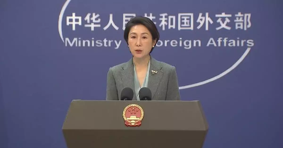 China urges certain countries to stop using human rights to meddle in others' domestic affairs: spokeswoman