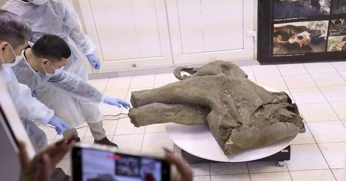 Baby mammoth preserved for 50,000 years is unveiled in Russia's Siberia