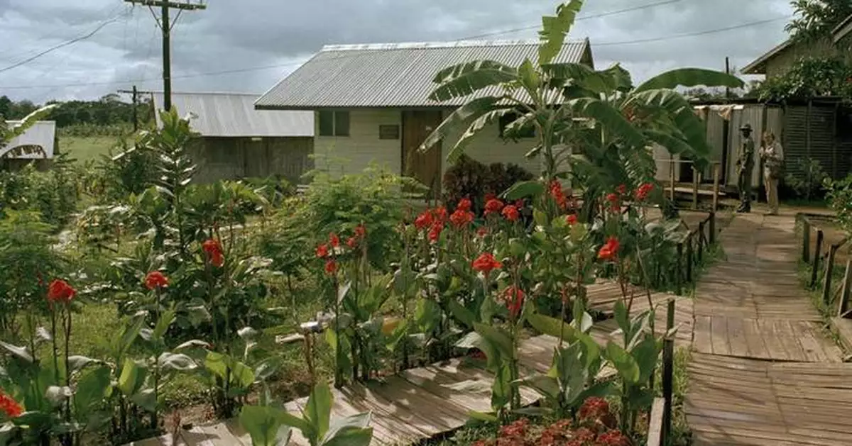 More than 900 people died in Jonestown. Guyana wants to turn it into a tourist attraction