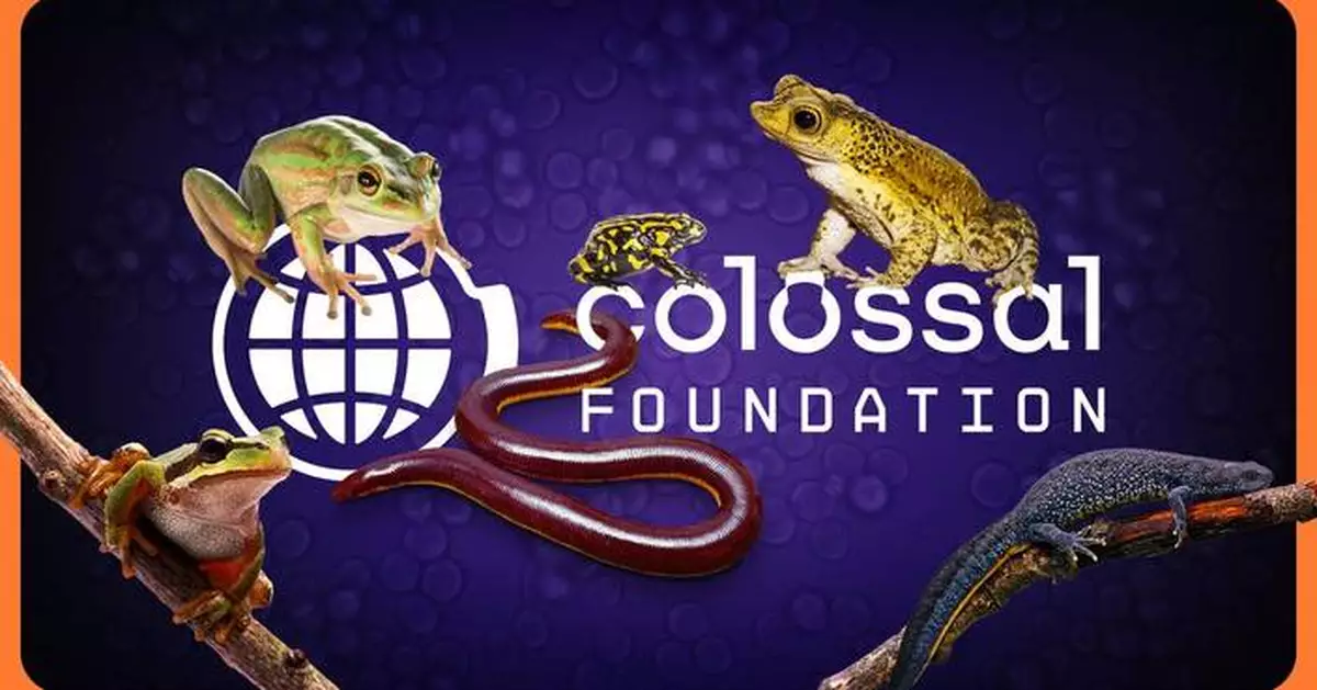 The Colossal Foundation Makes First Donation of US $1M as Part of $3M Commitment to Combat Chytrid Fungus, Save Amphibians from Mass Extinction, and Protect Endangered Ecosystems