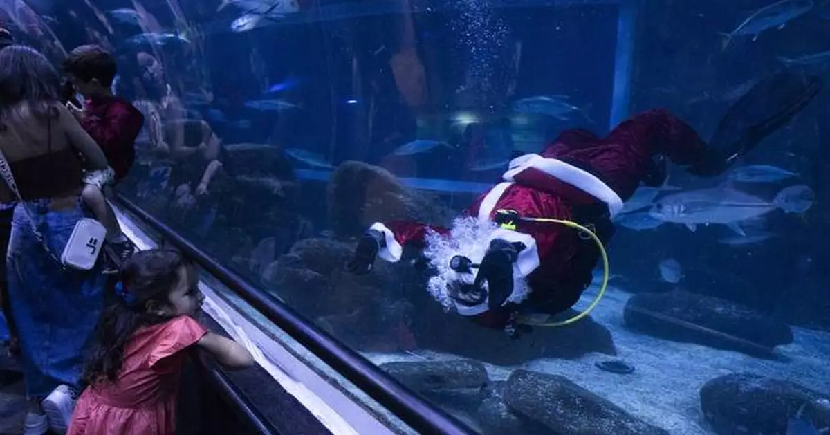 Santa Claus joins sharks for a holiday swim at a Rio de Janeiro aquarium