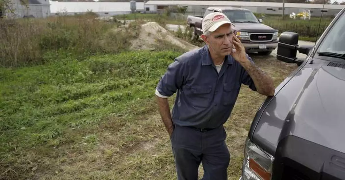 Long Island’s last duck farm weighs closure after outbreak leads to killing of entire flock