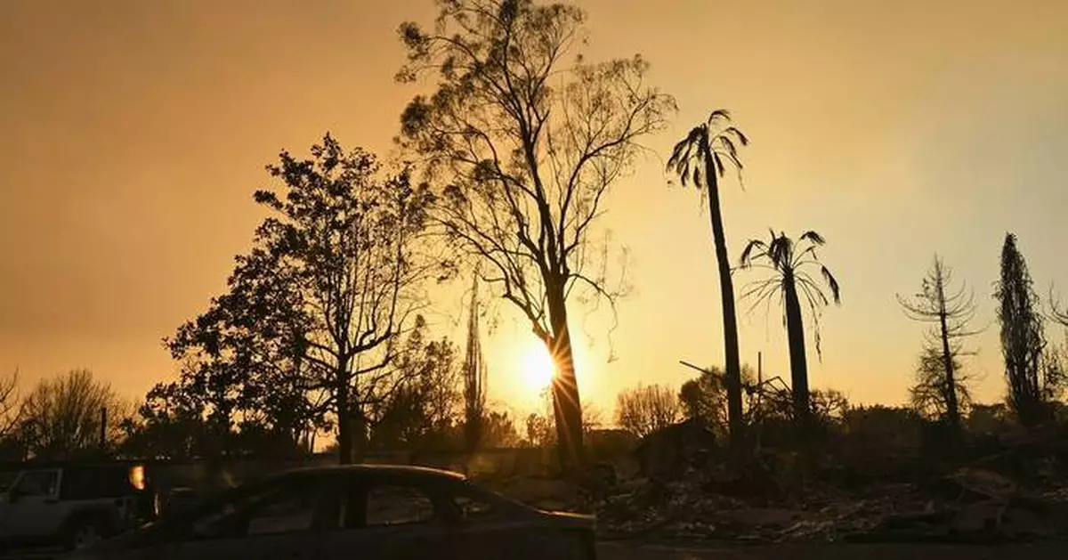 Actor Steve Guttenberg returns to his once-lush LA neighborhood now charred by devastating wildfire