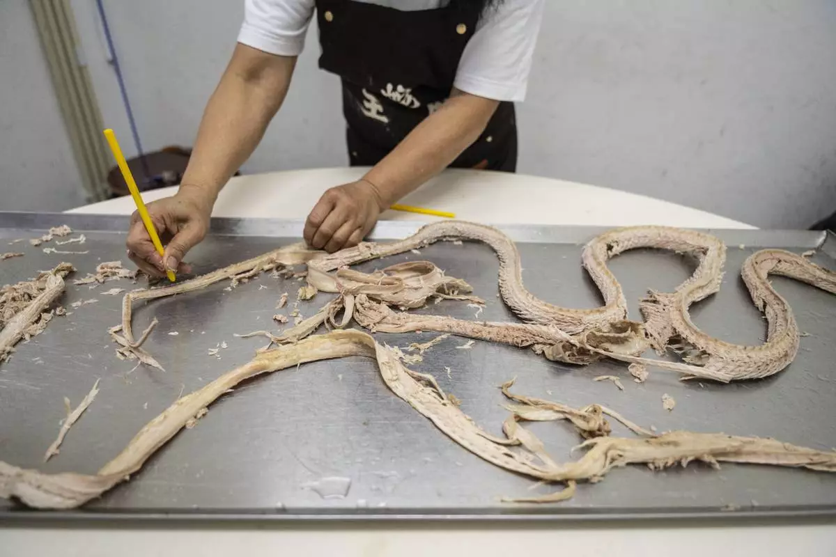 Chau Ka-ling, owner of the family-run snake soup restaurant, skins a snake at her shop in Hong Kong, Monday, Jan. 6, 2025. (AP Photo/Chan Long Hei)
