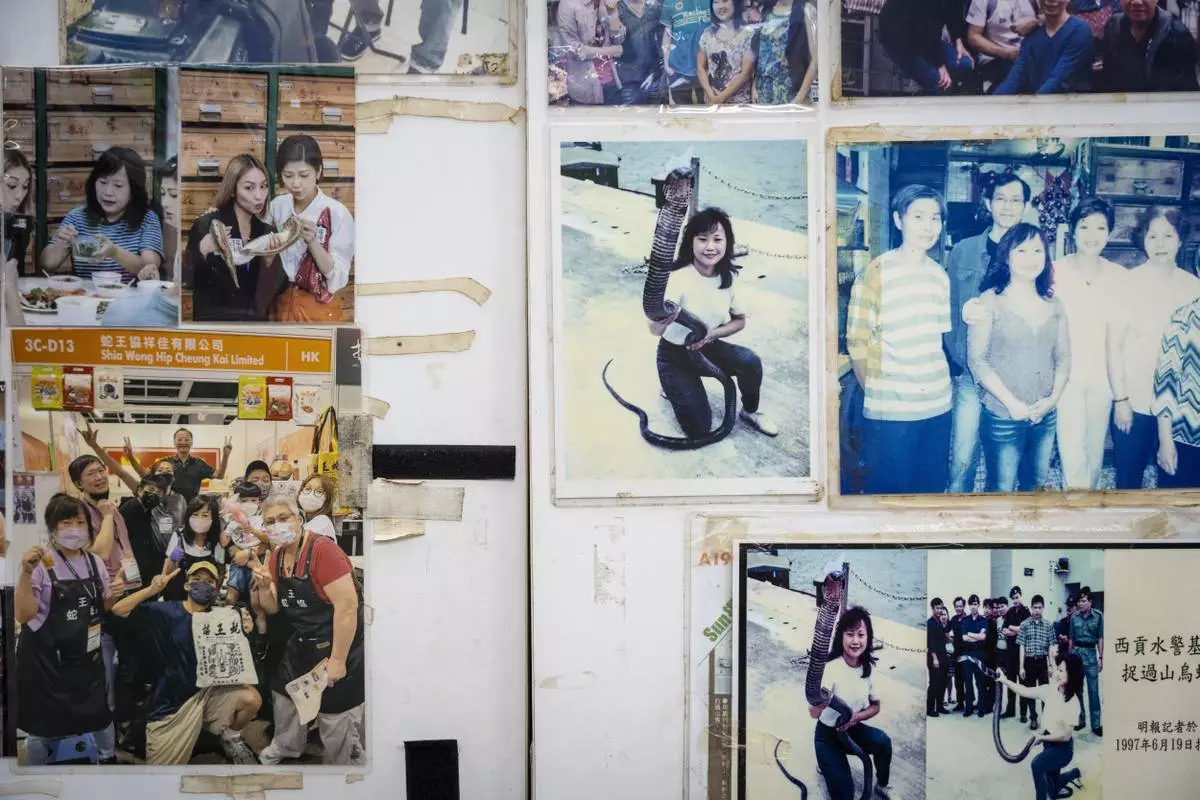 Old photos of the family-run snake soup restaurant owner Chau Ka-ling on display at their shop in Hong Kong, Monday, Jan. 6, 2025. (AP Photo/Chan Long Hei)