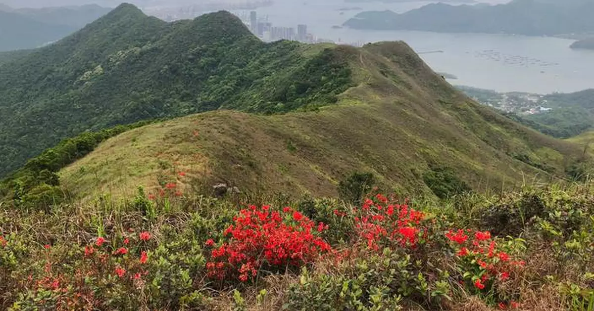 Road Access to Lin Ma Hang Village Now Open for Green Minibus Passengers, Enhancing Tourism Opportunities