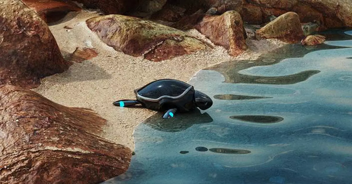 Beatbot to Introduce the Amphibious RoboTurtle and Shore Self-Docking &amp; Charging Station at CES 2025