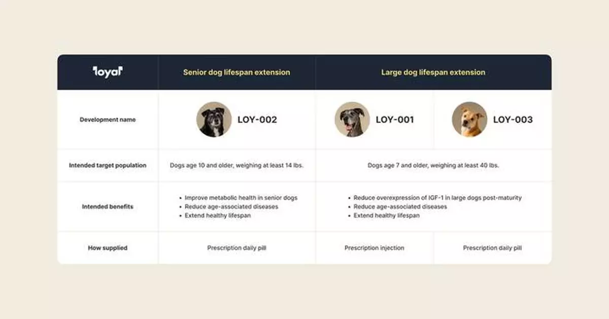 Loyal Receives FDA Acceptance of Reasonable Expectation of Effectiveness for Senior Dog Lifespan Extension