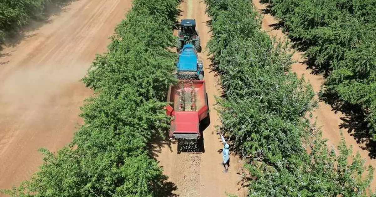 Topcon Agriculture and Bonsai Robotics Collaborate to Advance Precision Farming for Permanent Crops Through Autonomous Navigation and Smart Implement Controls