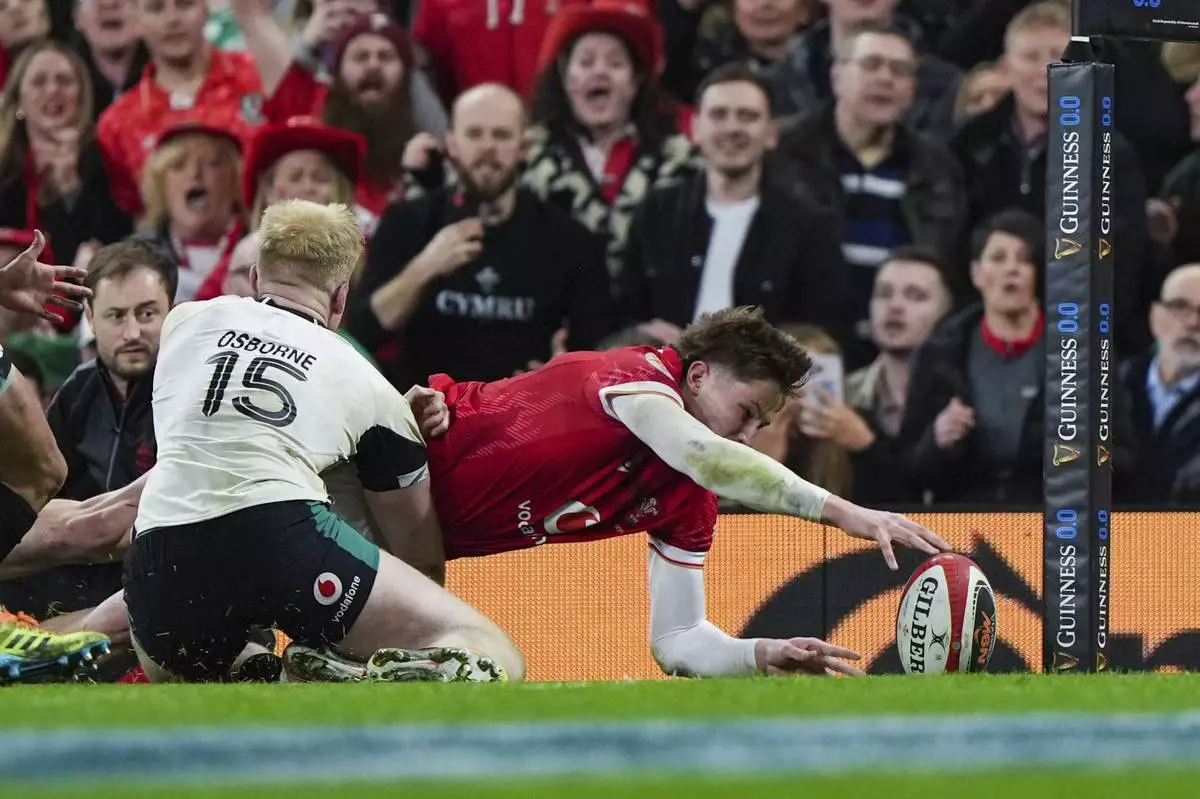 Wales' Ellis Mee falls short of the try line , during the Six Nations rugby match between Wales and Ireland, at the Principality Stadium, in Cardiff, Wales, Saturday, Feb. 22, 2025. (Joe Giddens/PA via AP)
