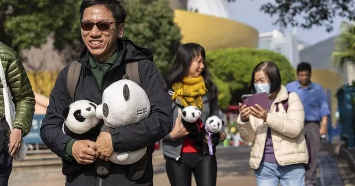 AP PHOTOS: 6-month-old twin panda cubs climb and sleep at their debut in Hong Kong