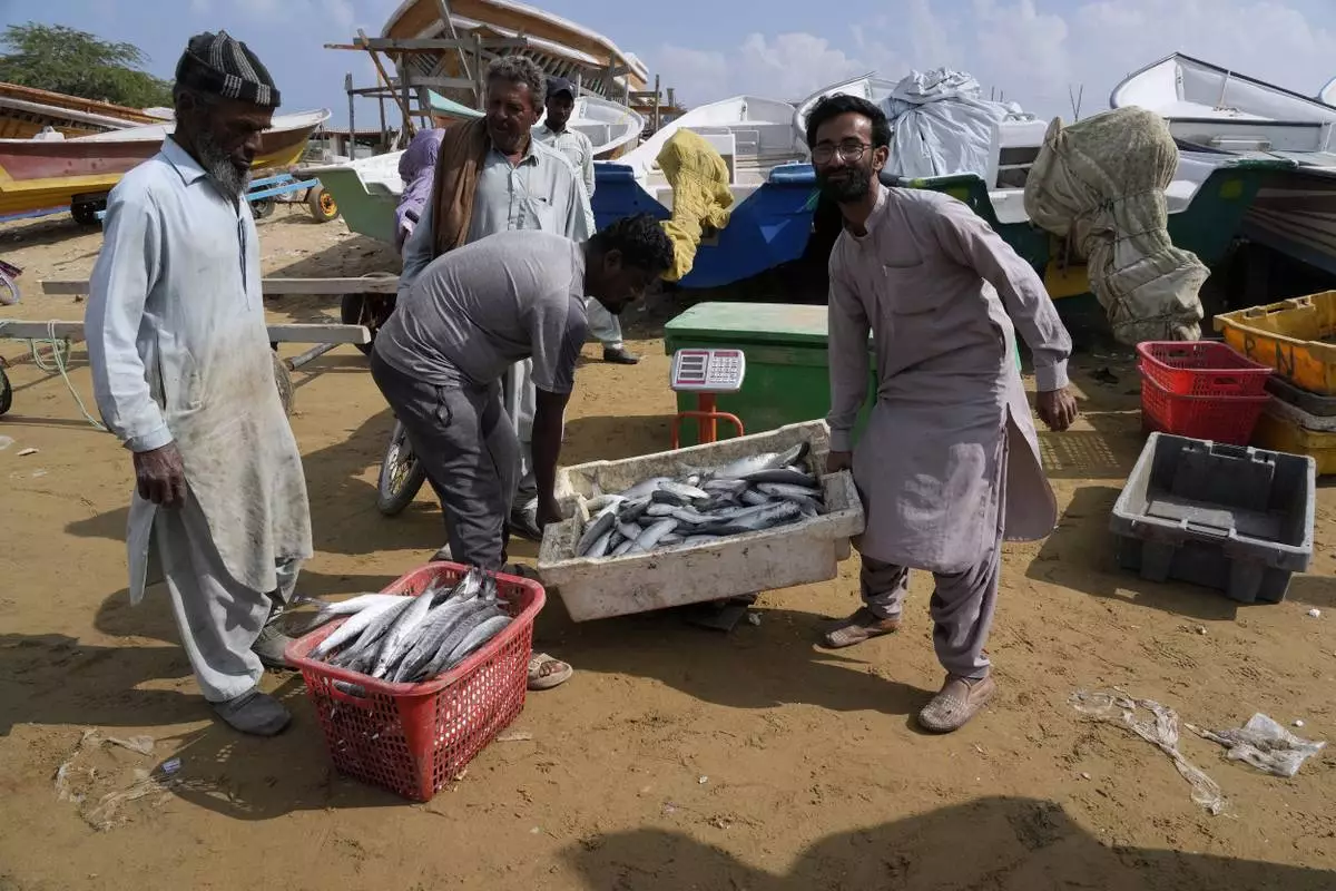 Fishermen weight fish on a scale in the coastal city of Gwadar, in southwest Pakistani province of Balochistan, Jan. 13, 2025. (AP Photo/Anjum Naveed)
