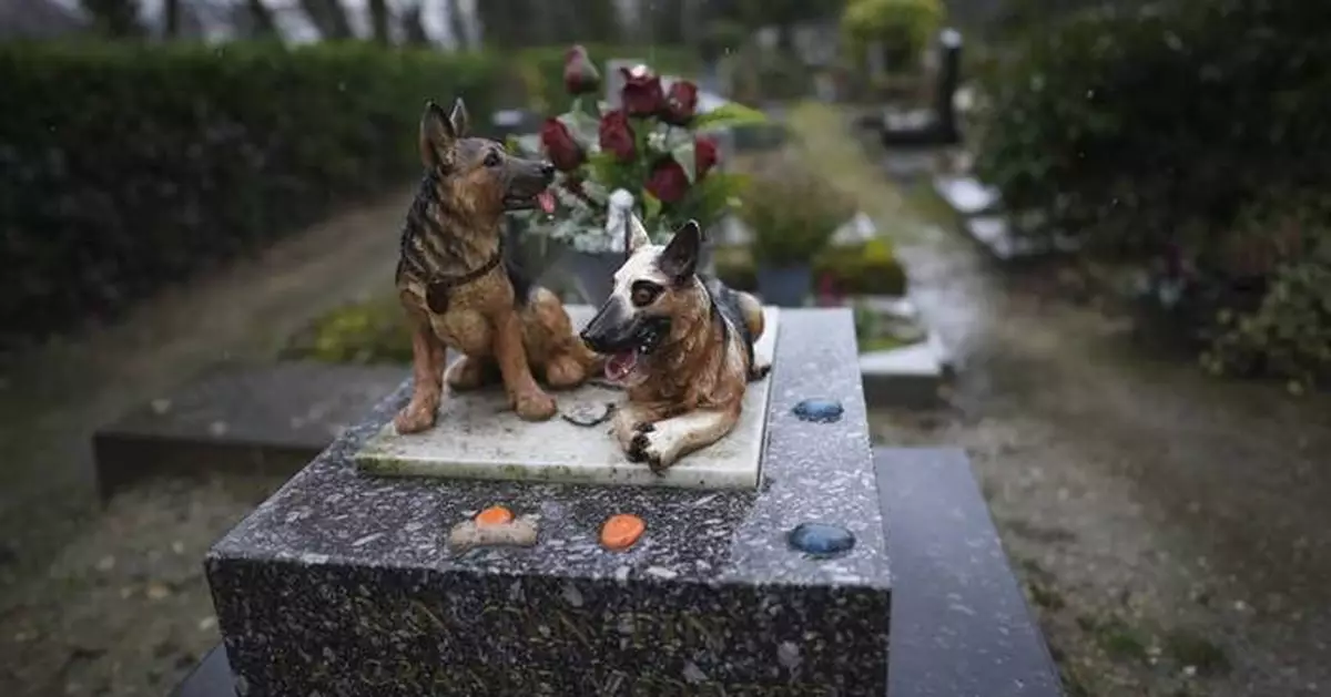 Losing a pet can cut deeper than many people realize. Here’s how friends can help