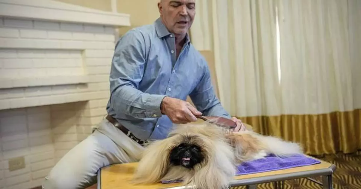 What makes a dog a winner? A Westminster Kennel Club judge explains