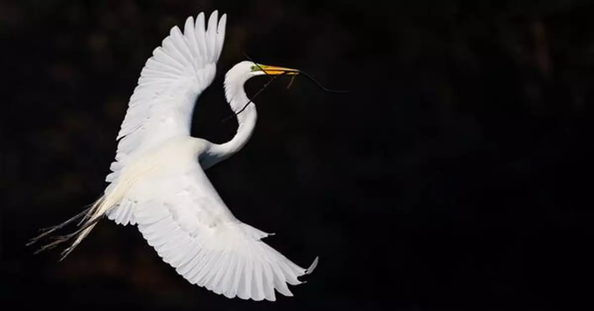 IBM Study: Gen AI Will Elevate Financial Performance of Banks in 2025