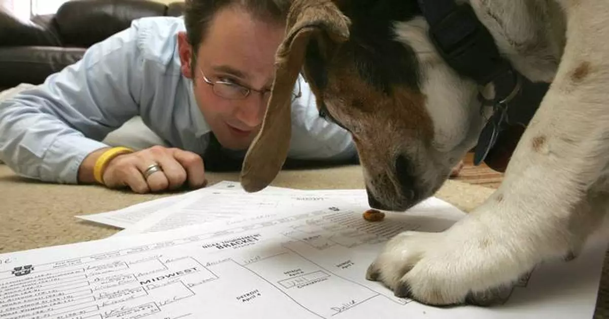 March Madness: Bracketology a settled national pastime as the 2025 NCAA Tournament arrives