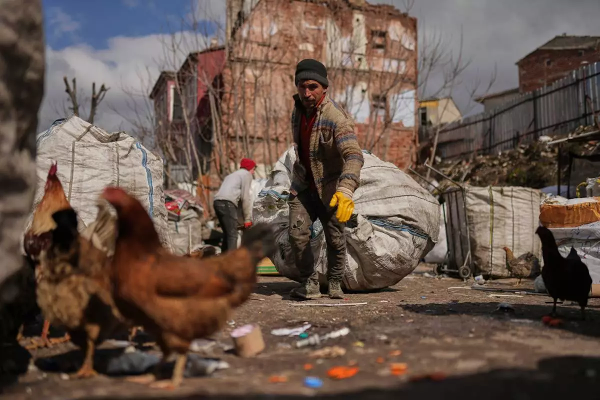 A man pulls a sack full of discarded cartons and plastic items to be separated in Istanbul, Turkey, Tuesday, March 4, 2025. (AP Photo/Francisco Seco)