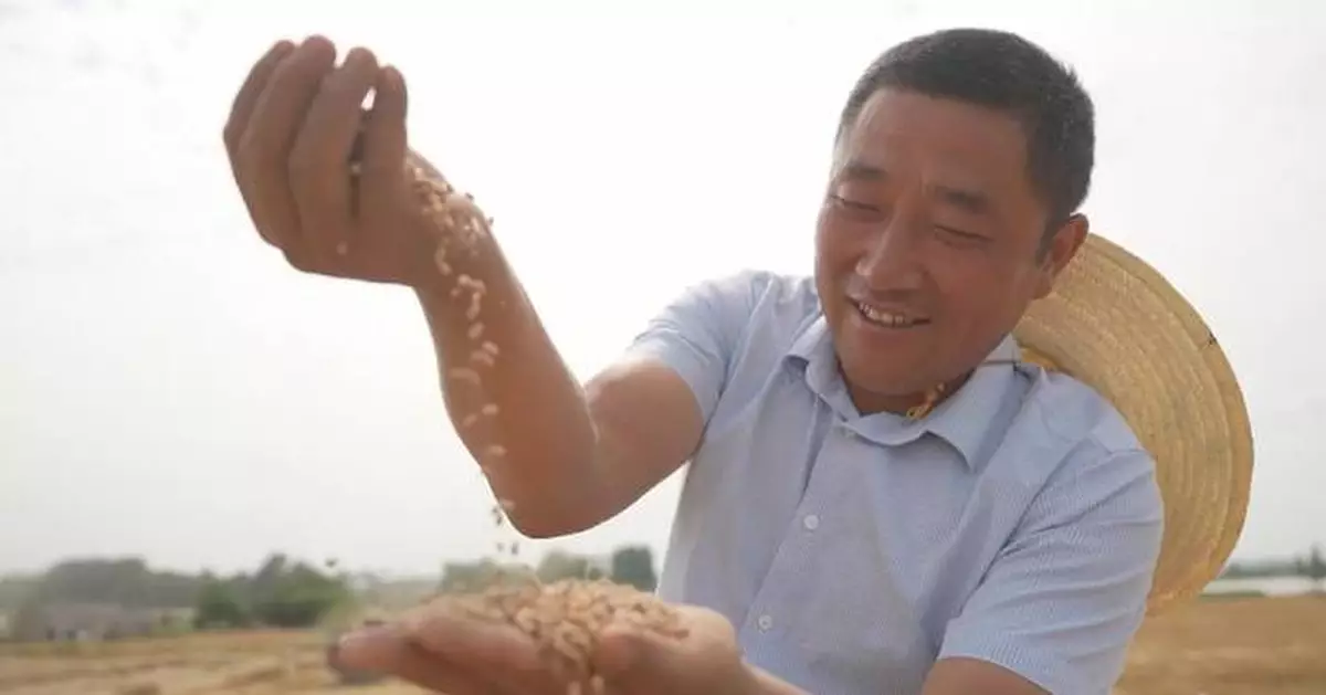 CPPCC helps drive modernization, prosperity in China's rural areas: spokesman