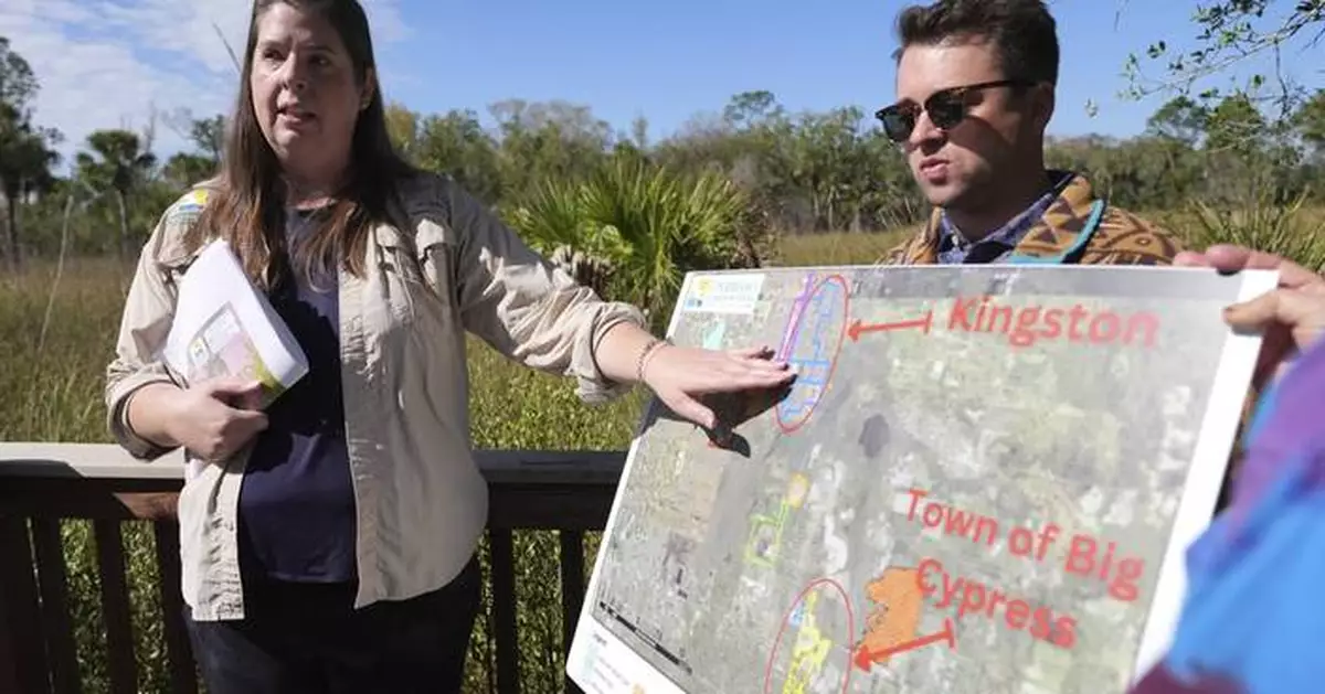 The endangered Florida panther faces the dual threats of urban sprawl and increased traffic