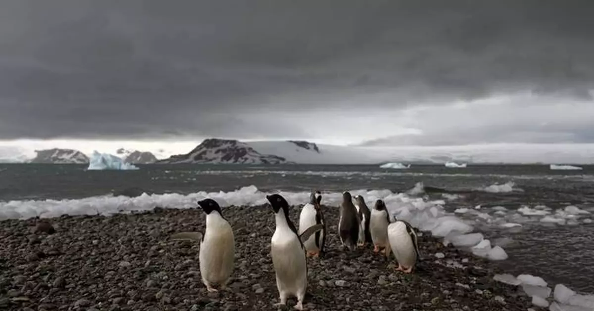 Fear at isolated Antarctica base as a man is accused of attacking a colleague and making threats