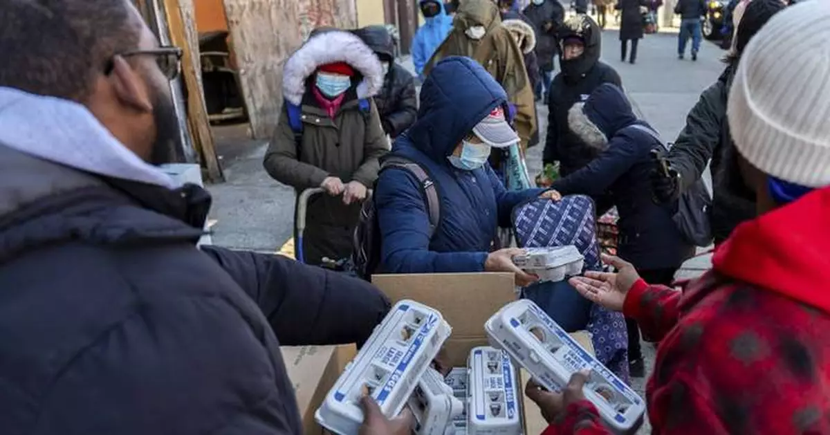 New Yorkers scramble for free eggs