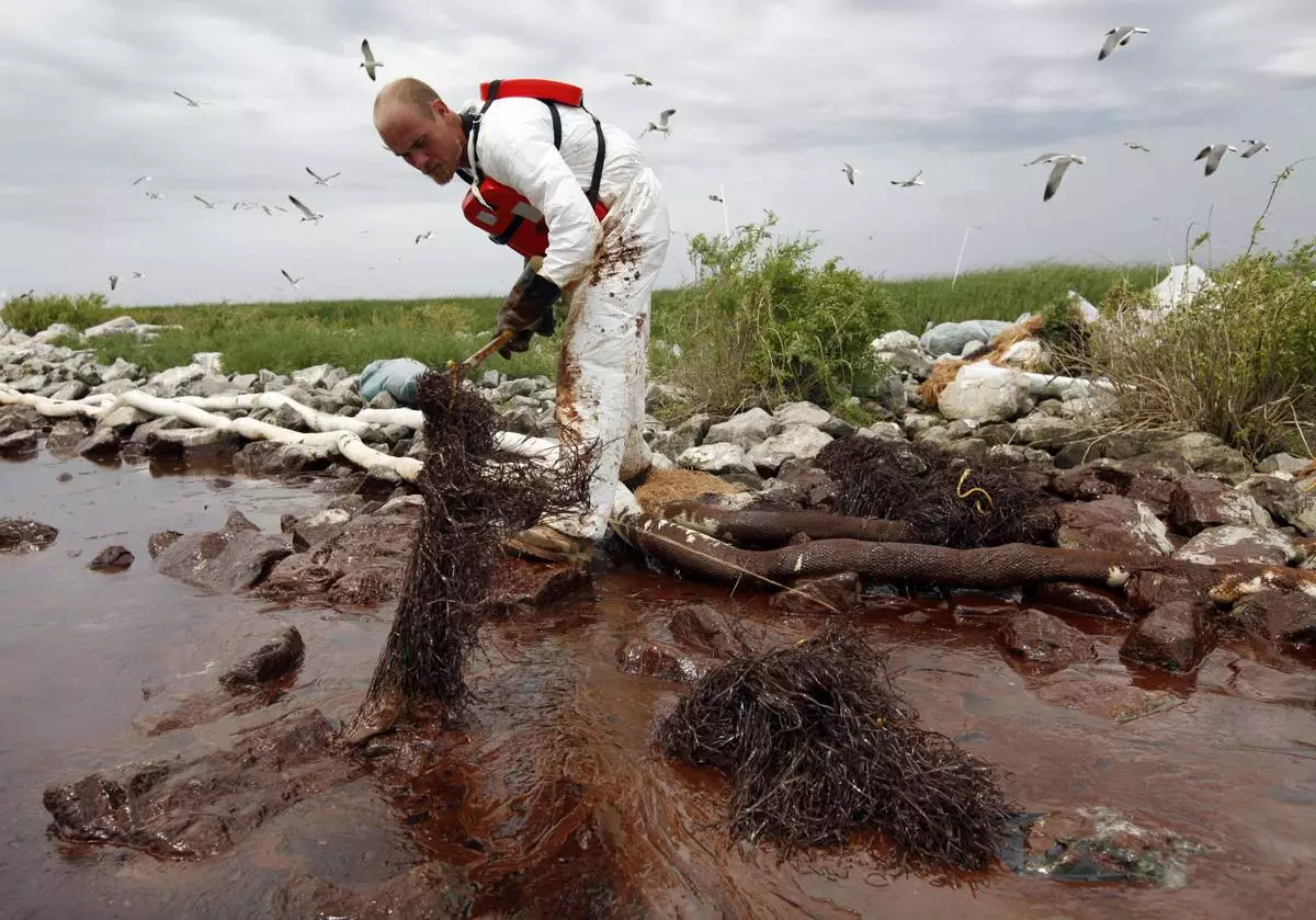 FILE- A worker picks up blobs of oil with absorbent snare on Queen Bess Island at the mouth of Barataria Bay near the Gulf of Mexico in Plaquemines Parish, La., on June 4, 2010. (AP Photo/Gerald Herbert, File)