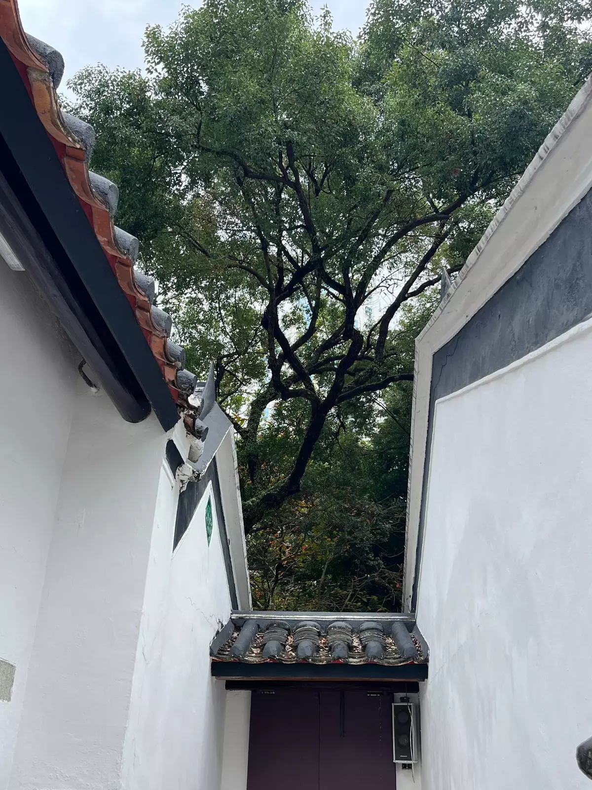 Walls of Sam Tung Uk have been painted white. Source: BP