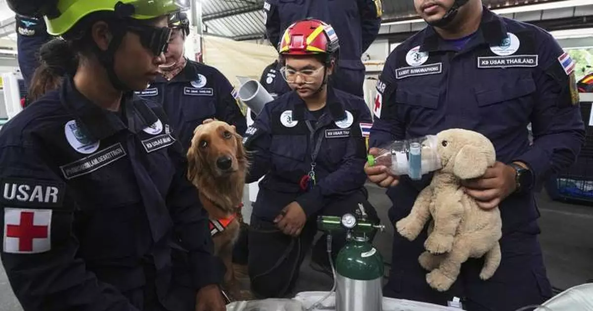 AP PHOTOS: Rescue dogs aid search efforts at site where Bangkok building collapsed after earthquake