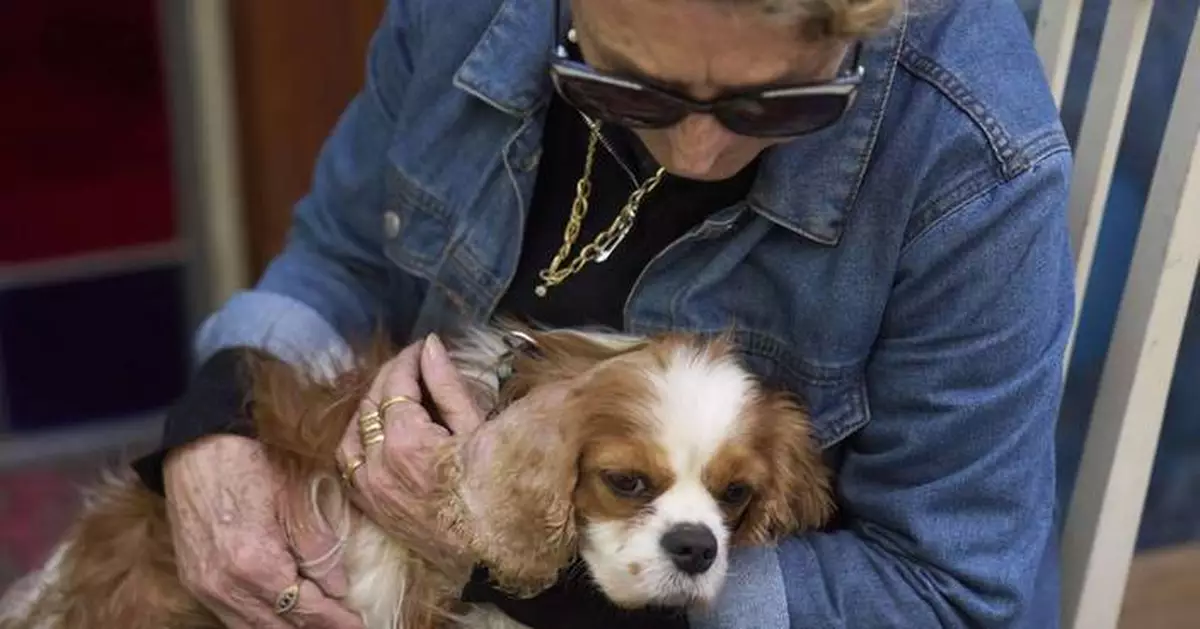 Dog reunites with Israeli family after disappearing for 18 months in Gaza