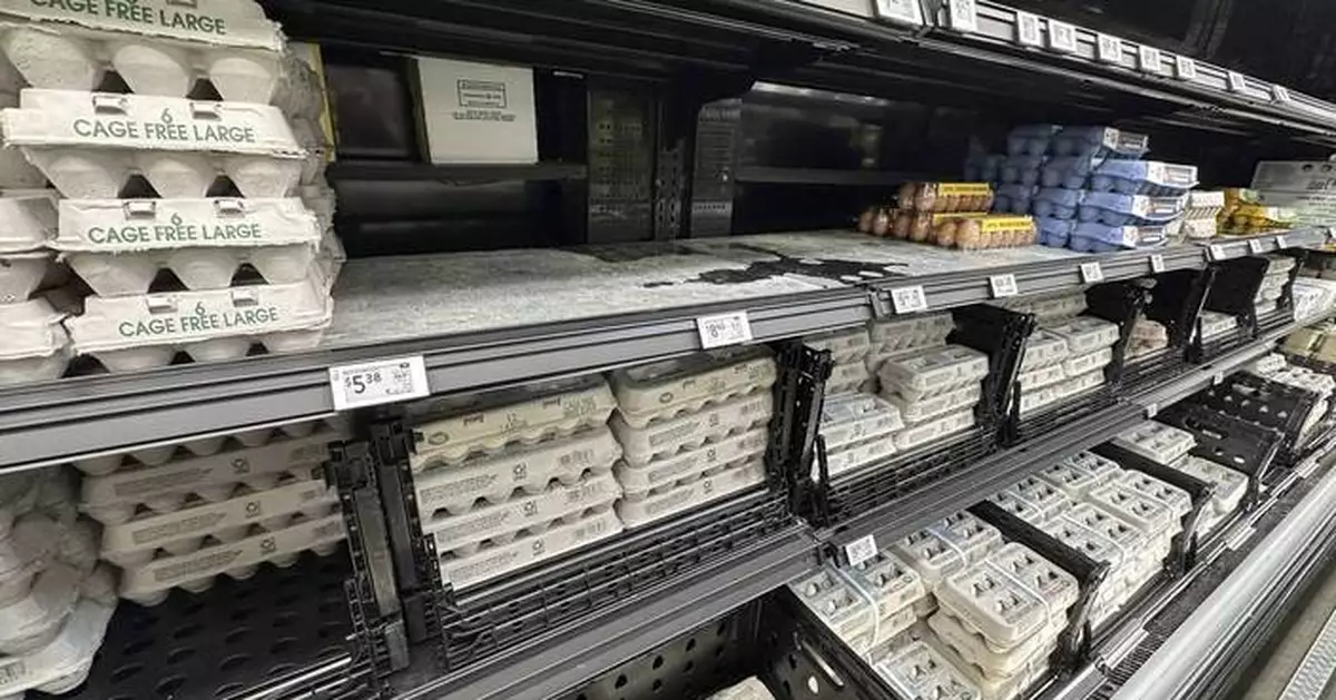 US egg giant Cal-Maine says government is investigating price increases