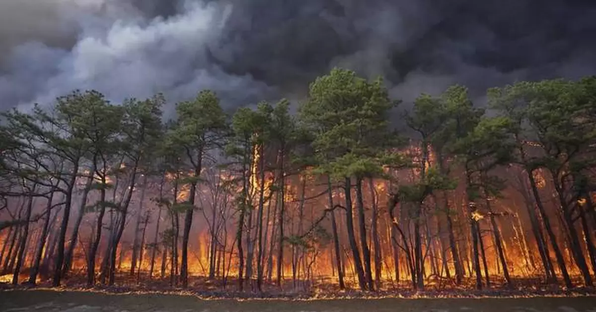 Man charged with arson after authorities say he sparked New Jersey Pine Barrens fire