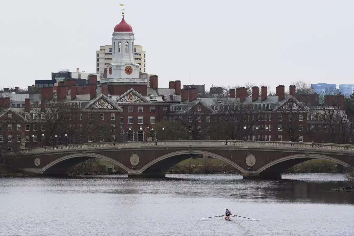 A sculler rows down the Charles River near Harvard University, at rear, Tuesday, April 15, 2025, in Cambridge, Mass. (AP Photo/Charles Krupa)