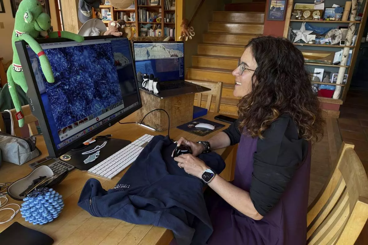 Rachael Z. Miller, founder of the Vermont-based Rozalia Project for a Clean Ocean, examines a fleece jacket using a microscope to display the microfibers that make up a single garment on Thursday, April 17, 2025, in Granville, Vt. (AP Photo/Amanda Swinhart)