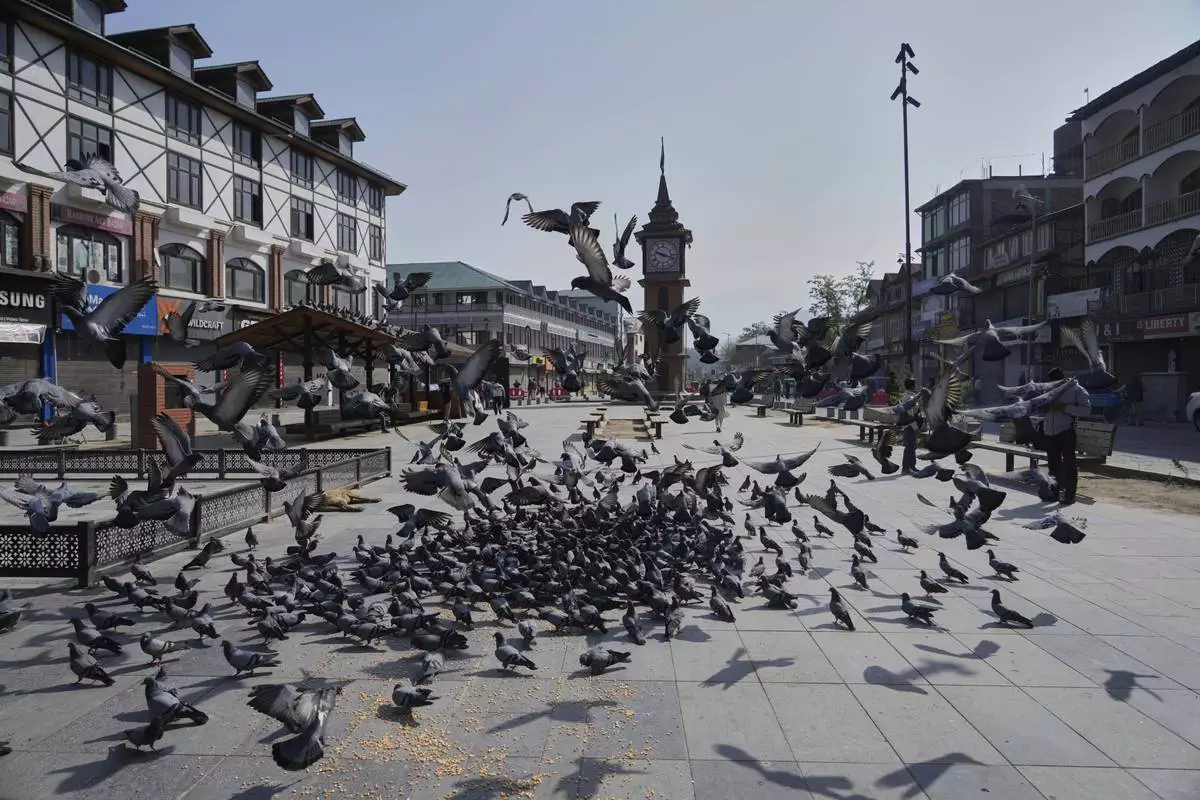 Pigeons fly in the city centre during a shut down after tourists were killed, in Srinagar, Indian controlled Kashmir, Wednesday, April. 23, 2025. (AP Photo/Mukhtar Khan)