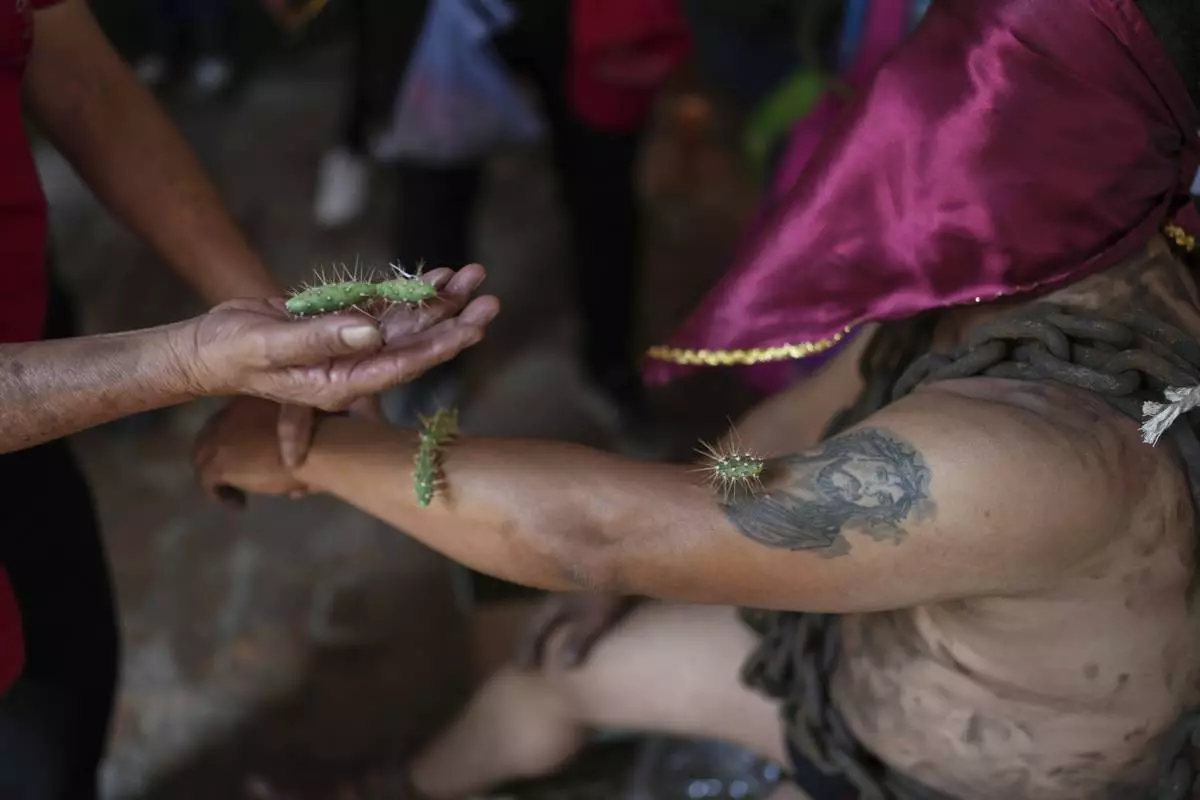 A masked penitent in chains holds out his arms to have cacti attached to his arm, before taking part in a Holy Week procession in Atlixco, Mexico, on Good Friday, April 18, 2025. (AP Photo/Eduardo Verdugo)