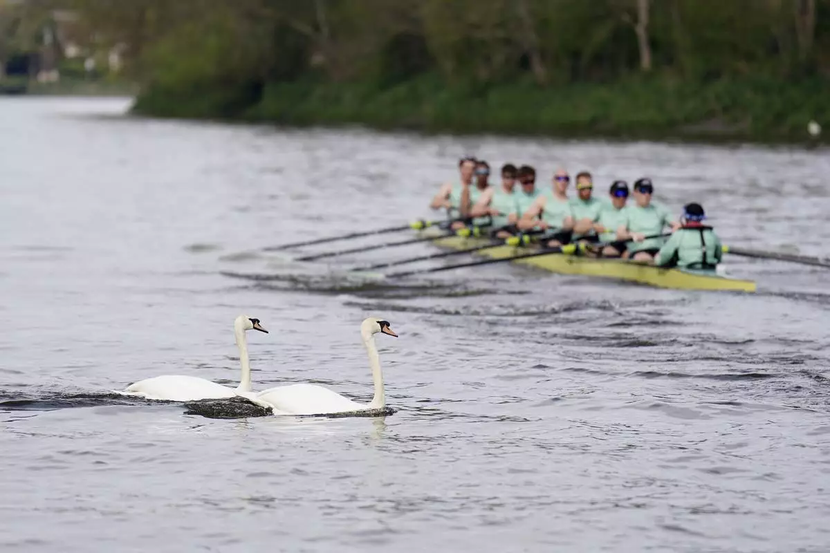 The Cambridge University Men's Boat Team during a training session on the River Thames in London, Tuesday, April 8, 2025. (Zac Goodwin/PA via AP)