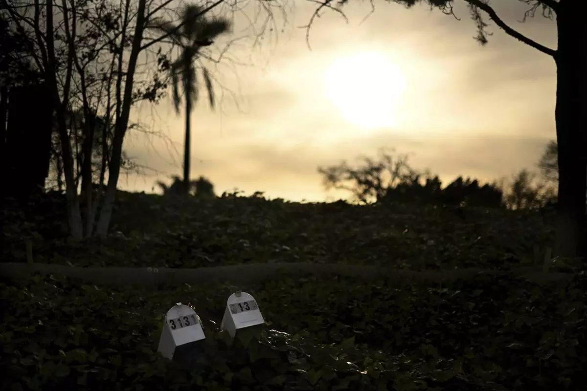A pair of mailboxes collapse into the bushes along Old Coach Drive after the Mountain Fire burned through the area Wednesday, April 16, 2025, in Camarillo, Calif. (AP Photo/Wally Skalij)