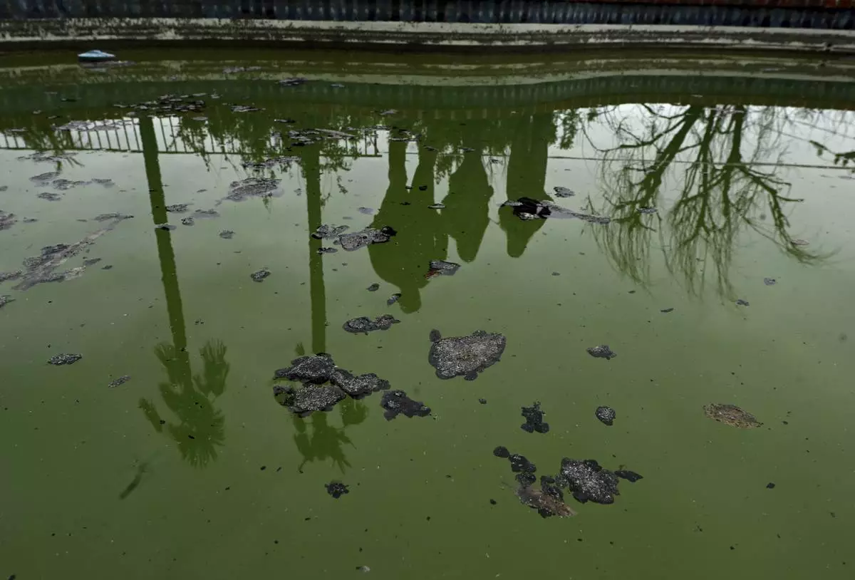 The McNett family are reflected in a pool with debris as they visit there house that burned in the Mountain Fire Wednesday, April 16, 2025, in Camarillo, Calif. (AP Photo/Wally Skalij)