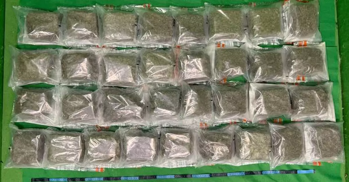 Hong Kong Customs Seizes 18kg of Cannabis Buds at Airport, Arrests 20-Year-Old Passenger from Bangkok.