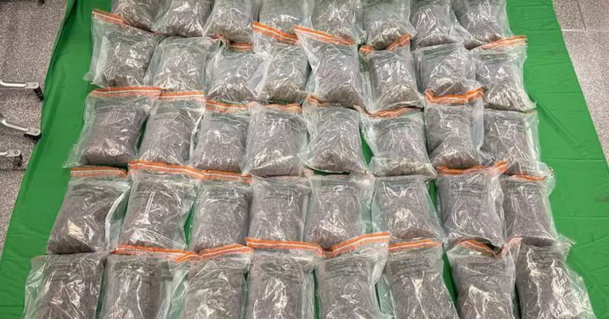 Hong Kong Customs Seizes 55kg of Drugs, Arrests Seven in Recent Trafficking Cases at Airport and Control Points.