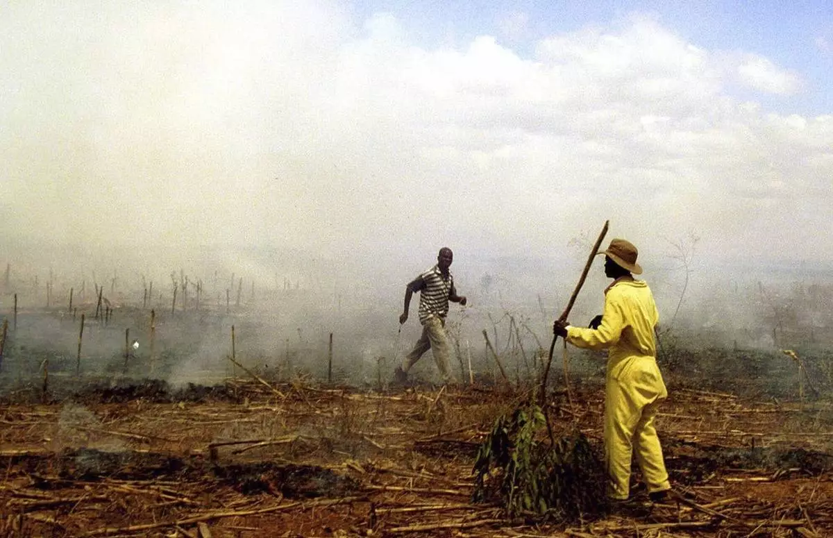 FILE - Zimbabwe farm squatters burn a field of standing crops at Chirobi Farm, about 43 miles (70 kms) north of Harare, Nov. 11, 2000. (AP Photo, File)