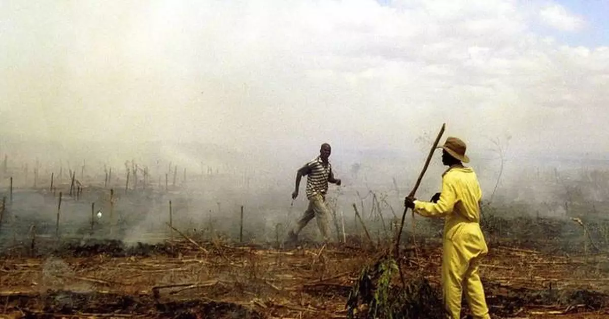 Zimbabwe makes first compensation payments to white farmers over land seizures