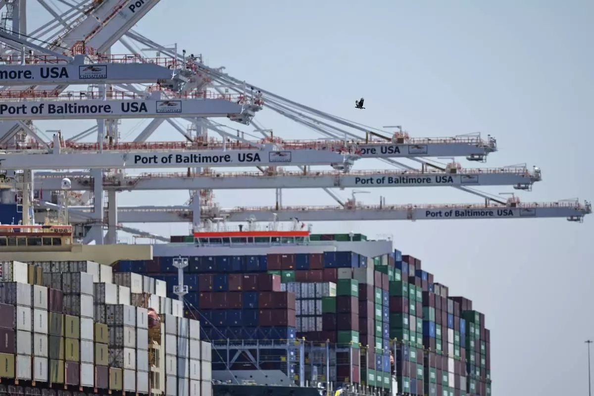 A bird flies near the container ships Epaminondas and Talos while they are docked at the Port of Baltimore, Wednesday, April 9, 2025, in Baltimore. (AP Photo/Stephanie Scarbrough)