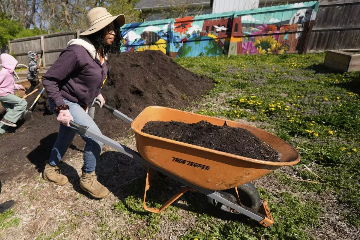 Rosei Warren hauls compost to a garden plot in preparation for planting vegetables at the Ivanhoe neighborhood community garden, Wednesday, April 9, 2025, in Kansas City, Mo. (AP Photo/Charlie Riedel)