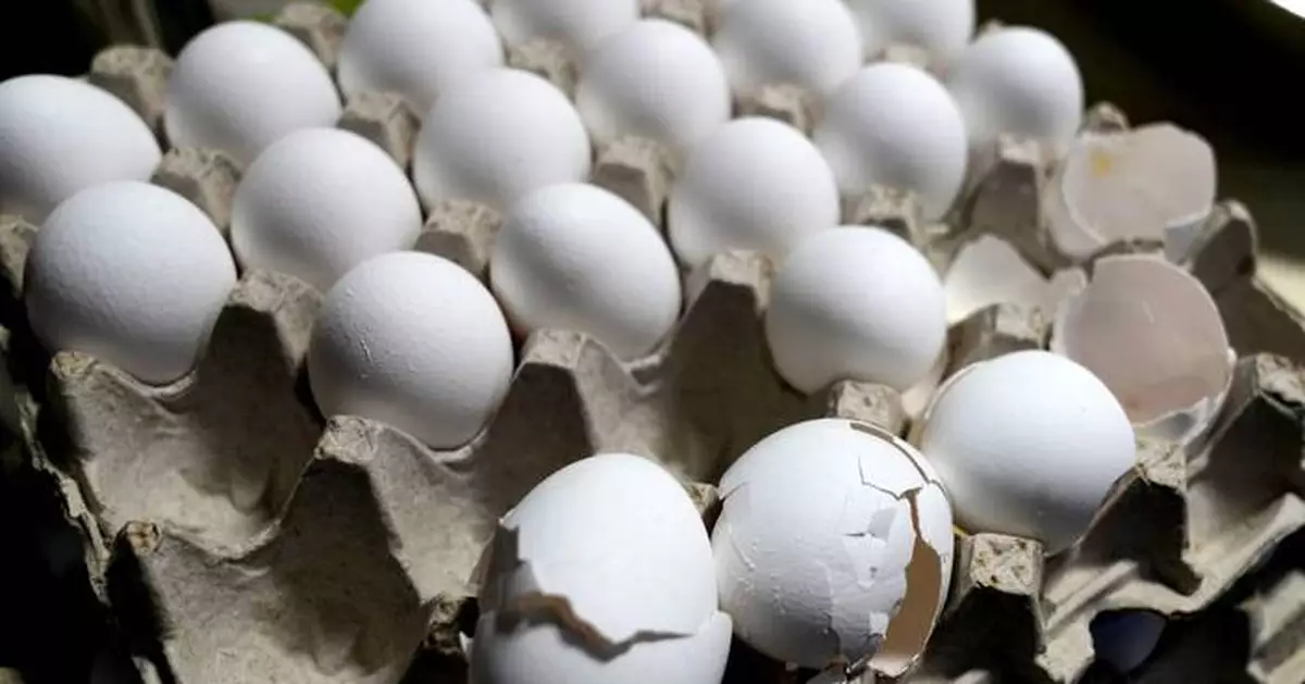 US egg prices increase to record high, dashing hopes of cheap eggs by Easter
