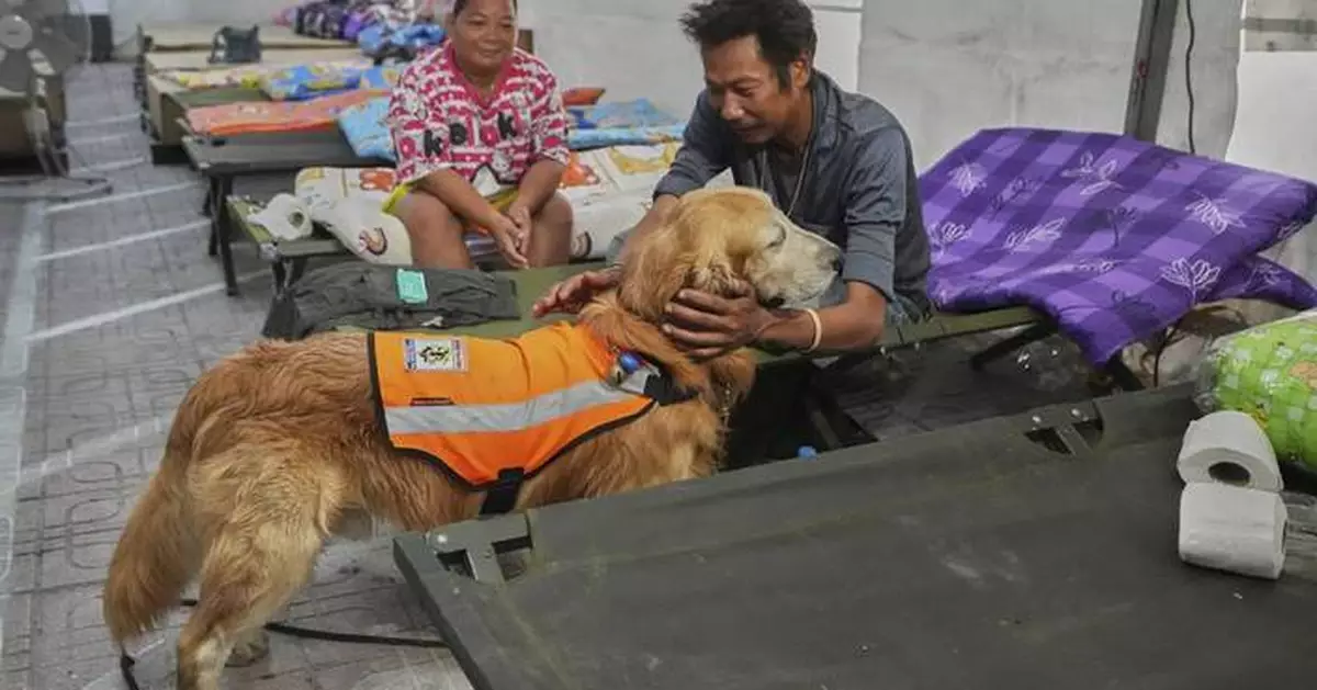 Worried families and rescue dogs bond during the long days of searching at Bangkok collapse