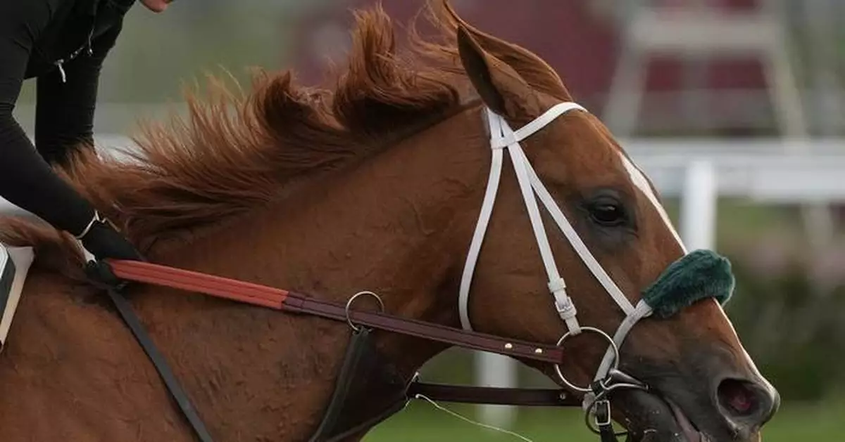 What makes a Kentucky Derby champion? Big hearts, immense lungs and powerful legs